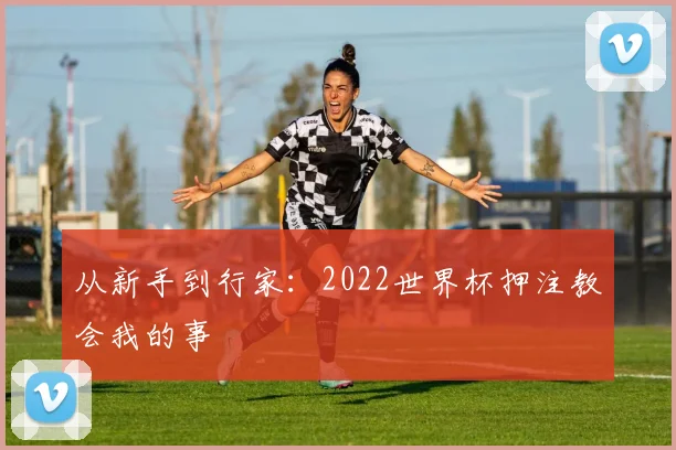 从新手到行家：2022世界杯押注教会我的事