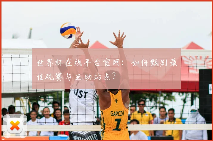 世界杯在线平台官网:如何甄别最佳观赛与互动站点?