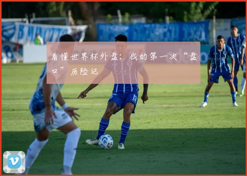 看懂世界杯外盘:我的第一次“盘口”历险记