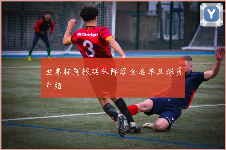 世界杯阿根廷队阵容全名单及球员介绍
